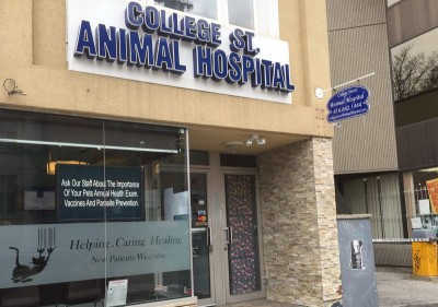 College Street Animal Hospital