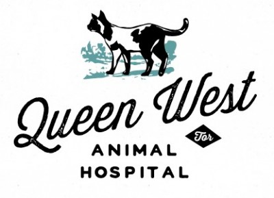 Queen West Animal Hospital