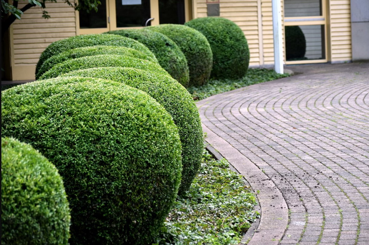 Landscaping